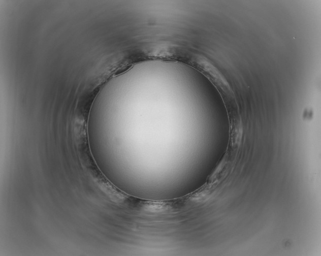 X0000091640521200709060940