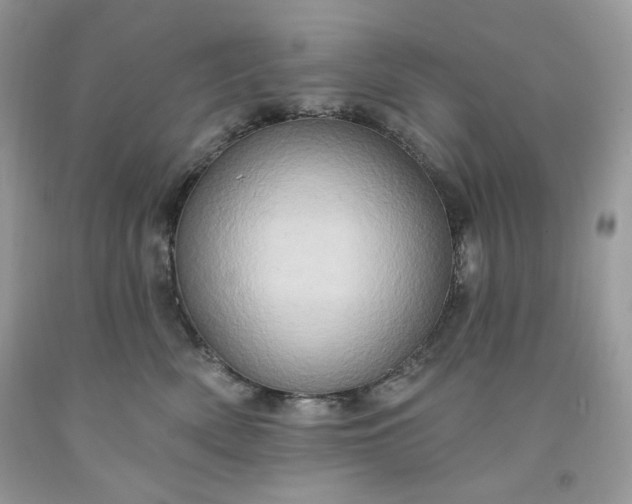 X0000091640522200709060940