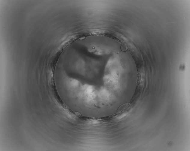 X0000091640523200709060940