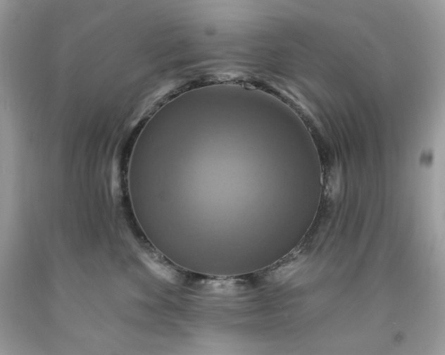 X0000091640524200709060940