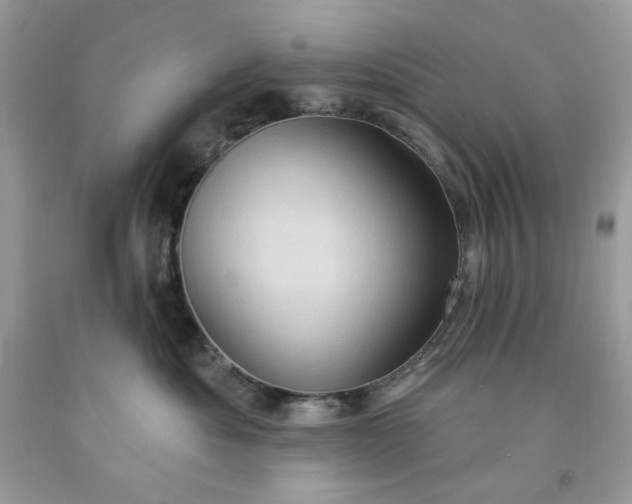 X0000091640525200709060940