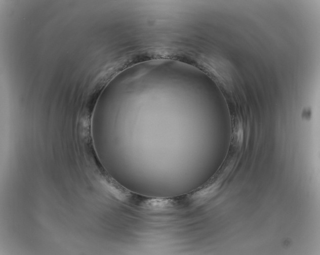 X0000091640526200709060940
