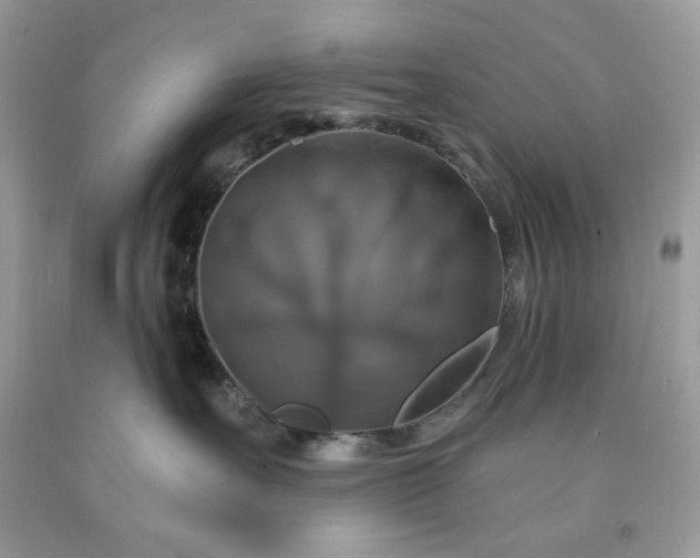 X0000091640527200709060940