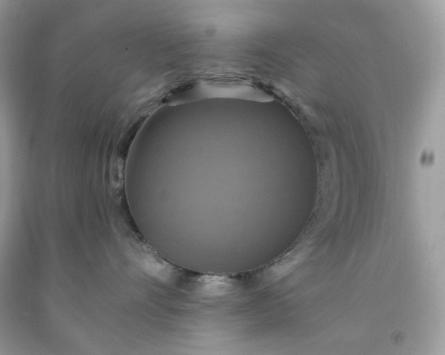 X0000091640528200709060940
