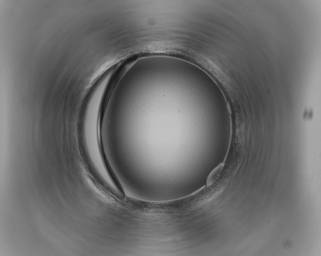 X0000091640530200709060940