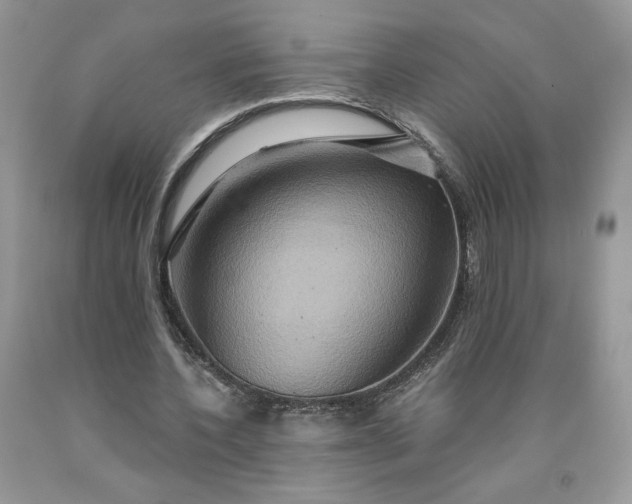 X0000091640532200709060940