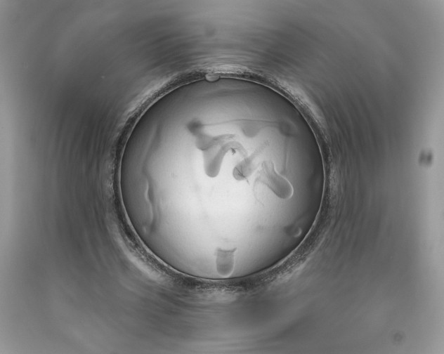 X0000091640533200709060940