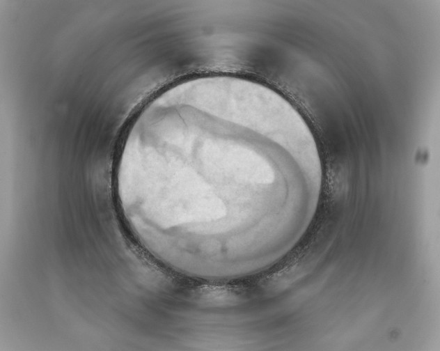 X0000091640534200709060940