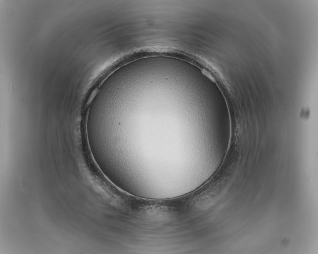 X0000091640535200709060940