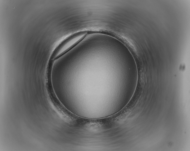 X0000091640536200709060940