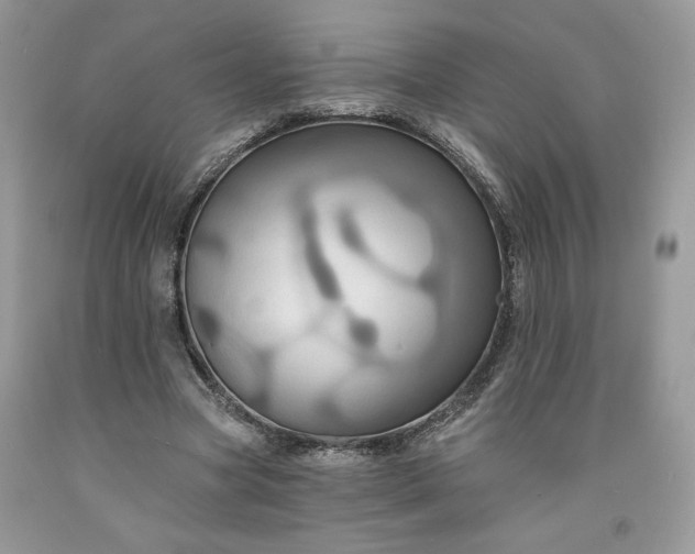 X0000091640537200709060940