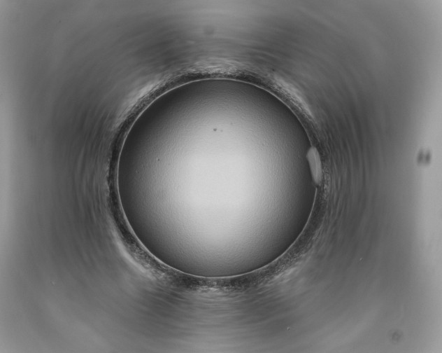 X0000091640538200709060940