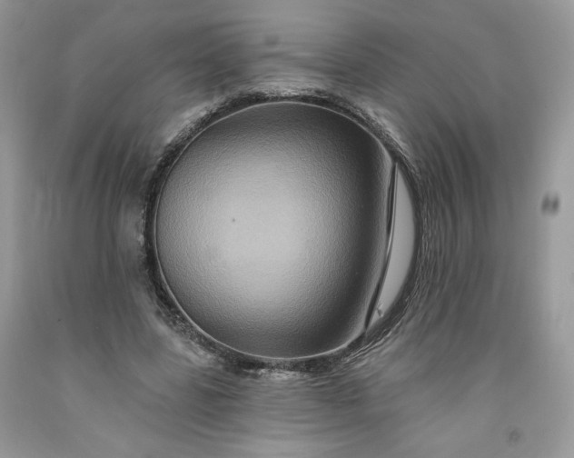 X0000091640539200709060940