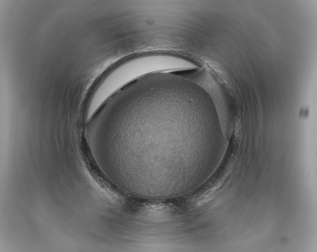 X0000091640540200709060940