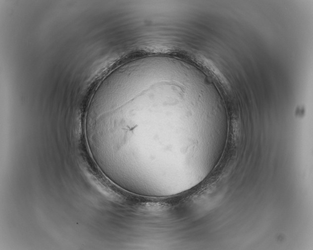 X0000091640541200709060940