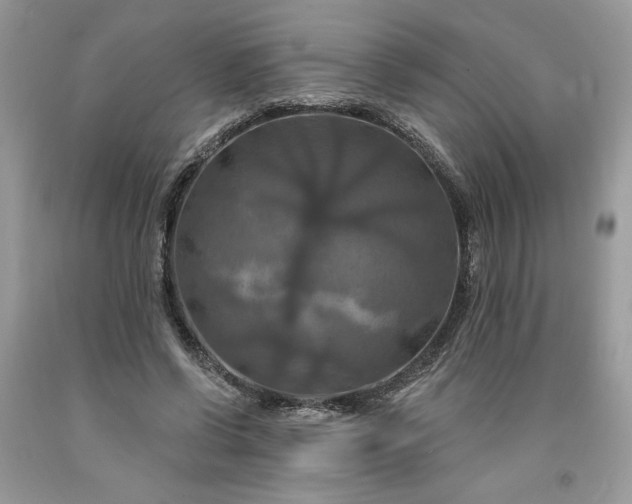 X0000091640542200709060940