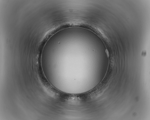 X0000091640543200709060940