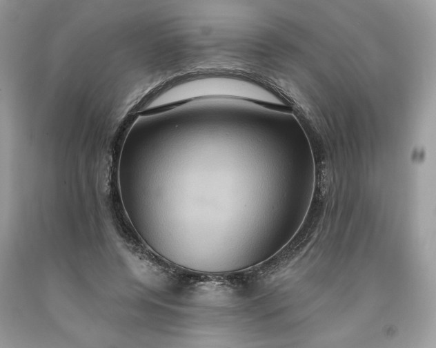 X0000091640544200709060940
