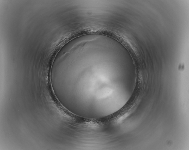 X0000091640545200709060940