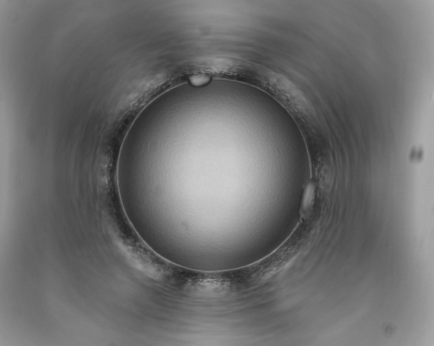 X0000091640546200709060940