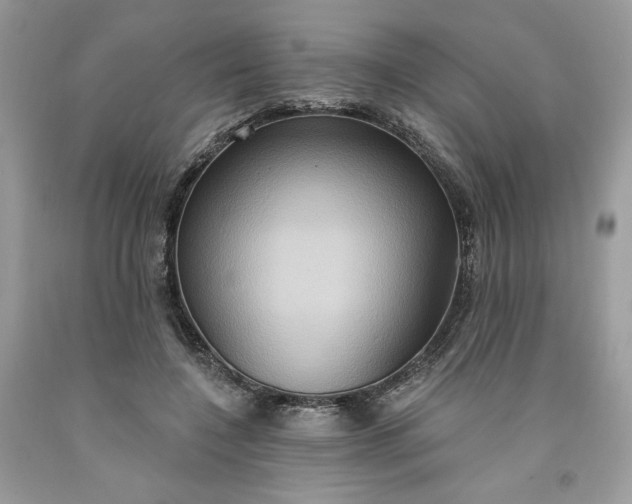 X0000091640548200709060940