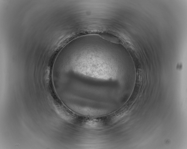 X0000091640550200709060940