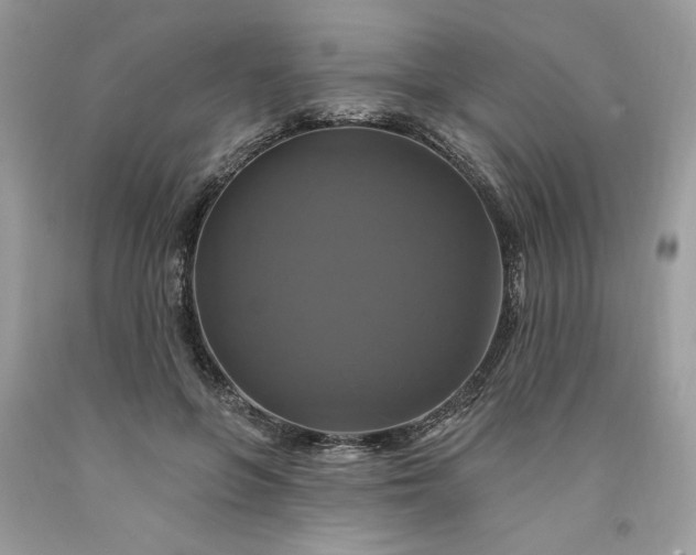 X0000091640551200709060940