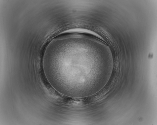 X0000091640552200709060940