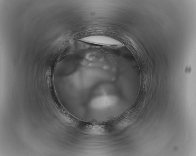 X0000091640553200709060940