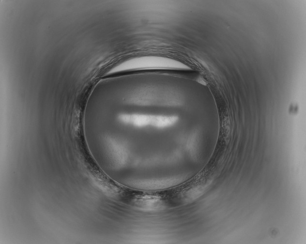 X0000091640554200709060940