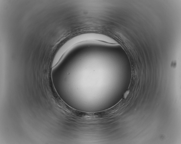 X0000091640556200709060940