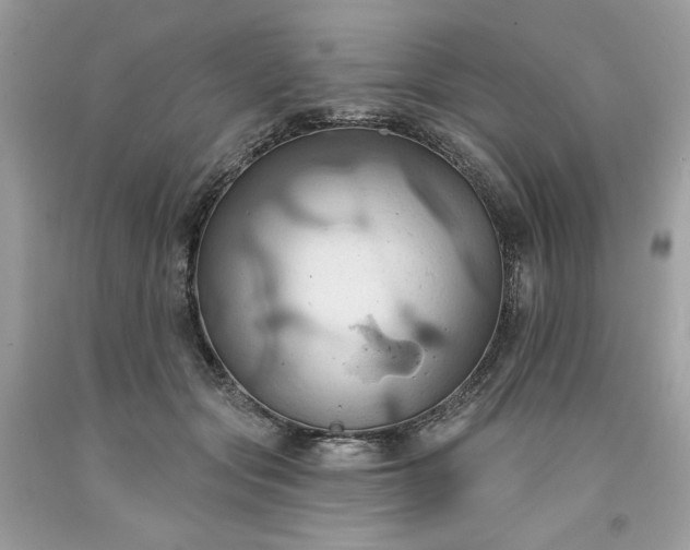X0000091640557200709060940