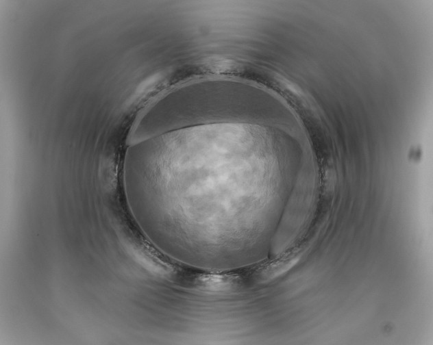 X0000091640558200709060940