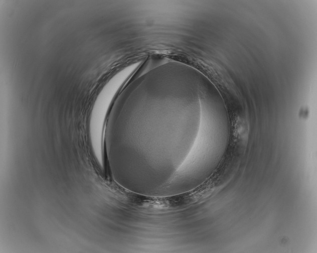 X0000091640559200709060940