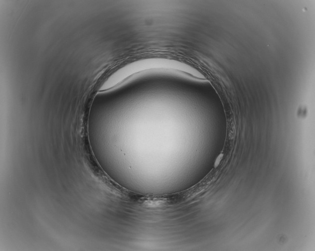 X0000091640560200709060940