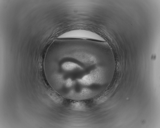 X0000091640561200709060940