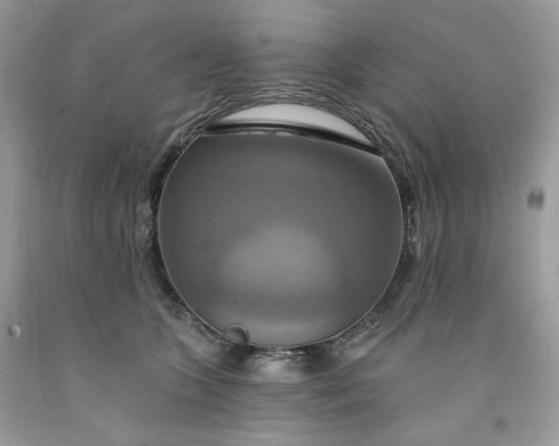 X0000091640563200709060940