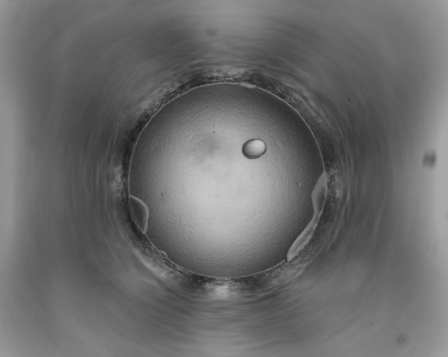 X0000091640564200709060940