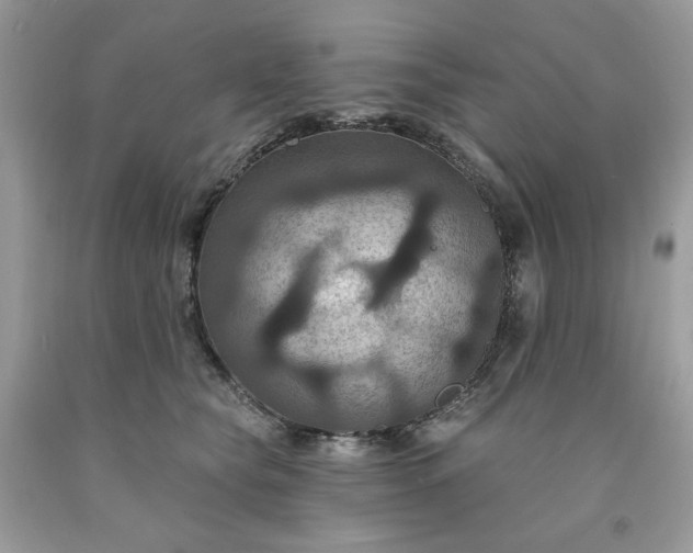 X0000091640565200709060940