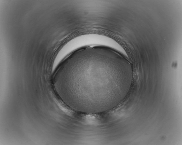X0000091640566200709060940