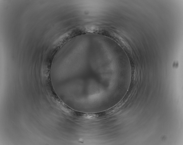 X0000091640569200709060940