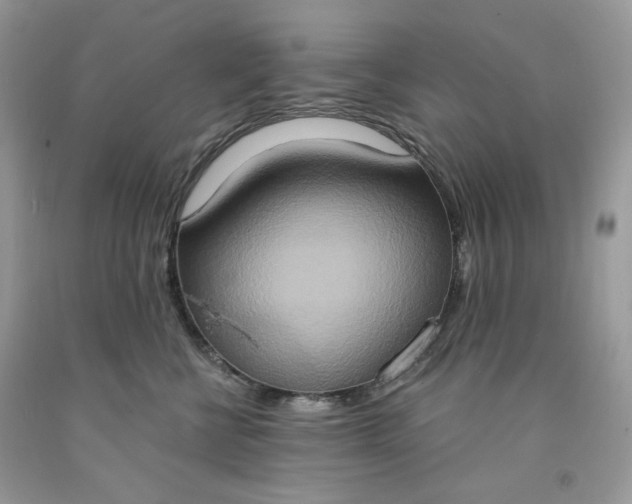 X0000091640570200709060940