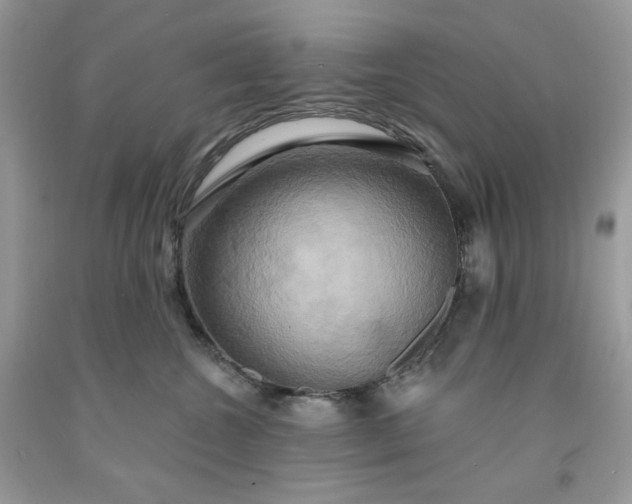 X0000091640572200709060940