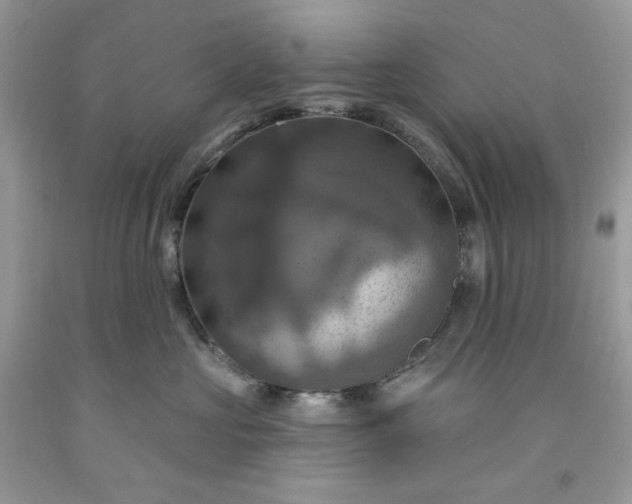 X0000091640573200709060940