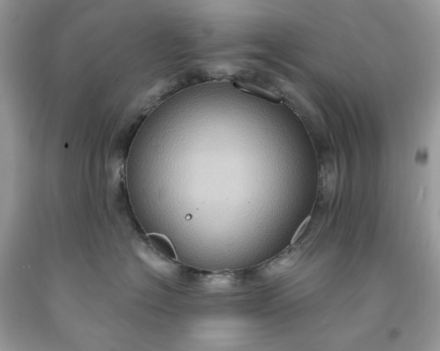 X0000091640574200709060940