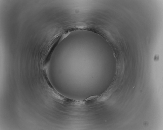 X0000091640576200709060940