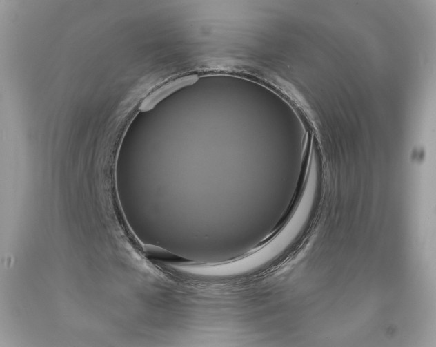 X0000091640577200709060940
