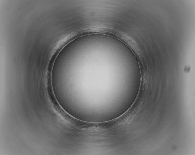 X0000091640578200709060940