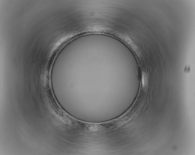 X0000091640579200709060940