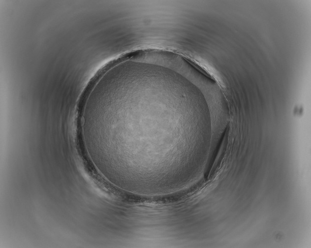 X0000091640580200709060940